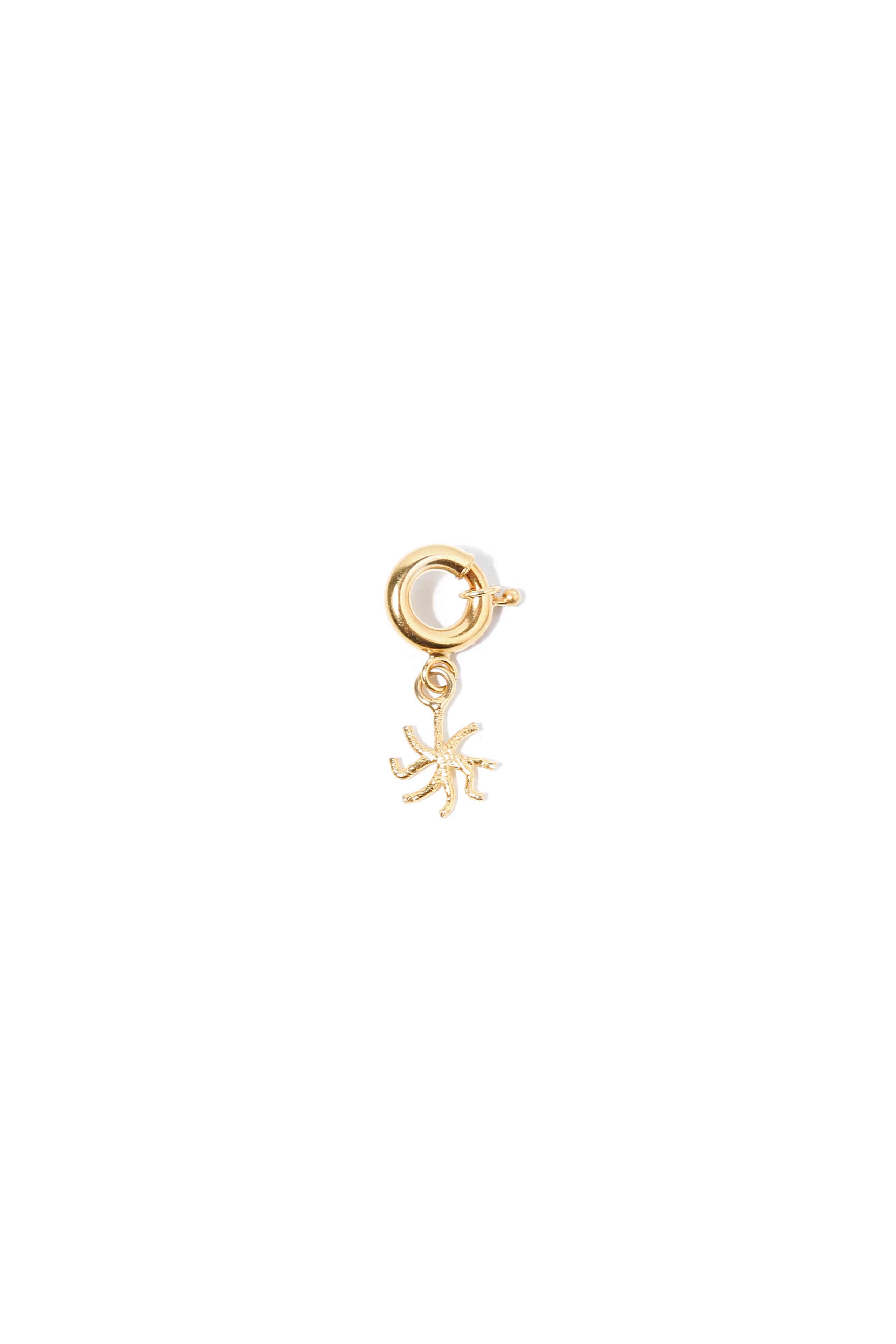Small Star Charm