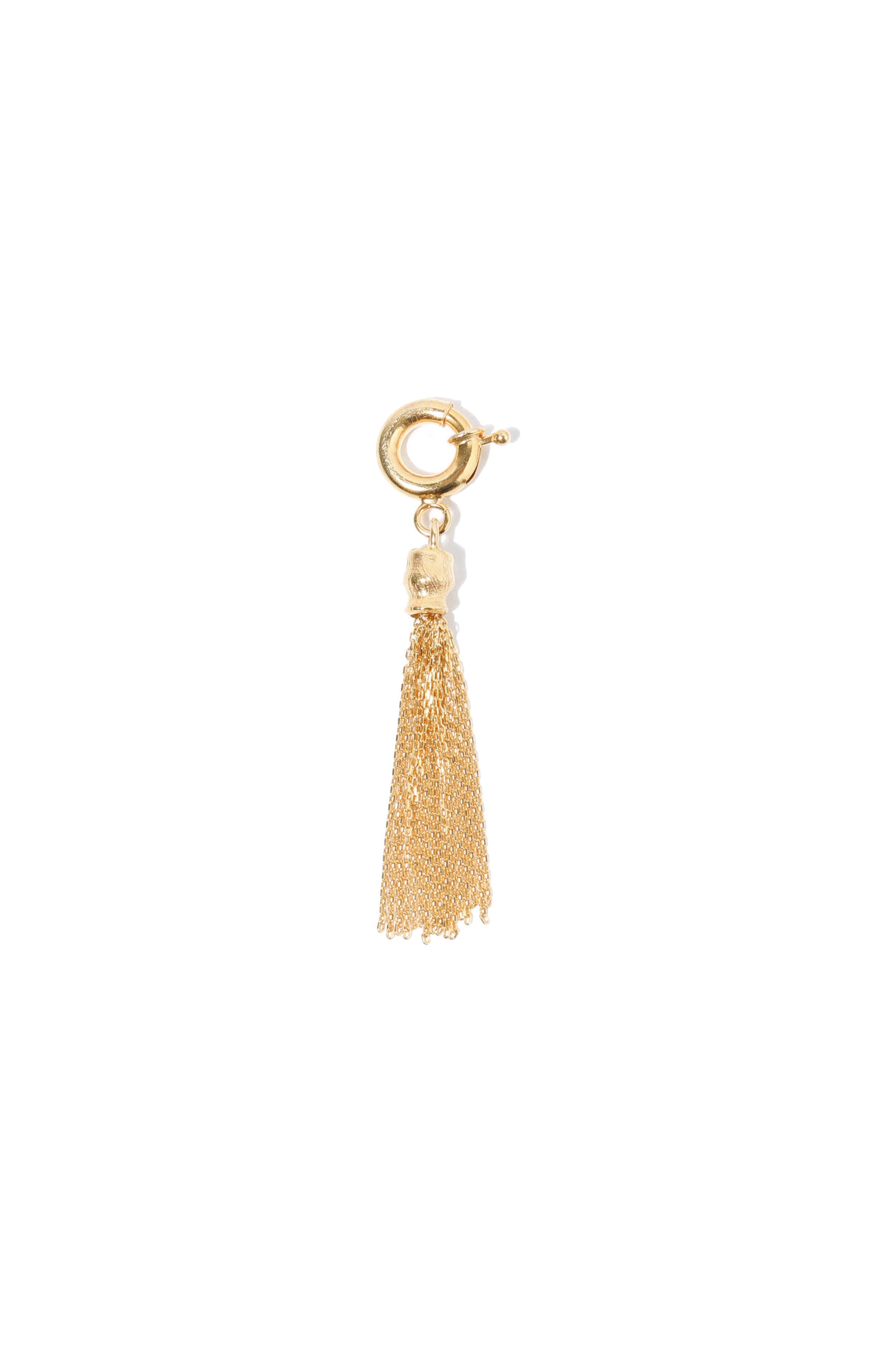 Tassel Charm