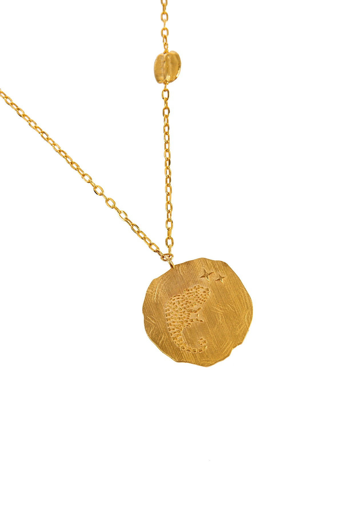 Chameleon Necklace