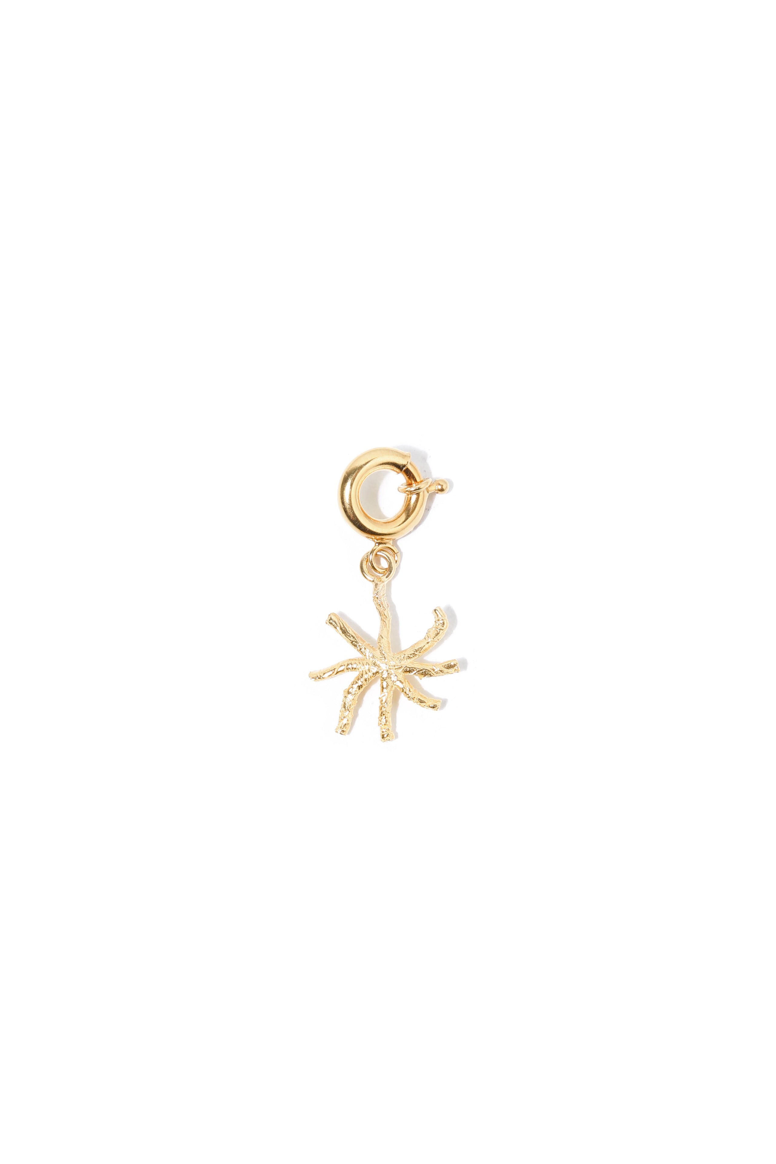Big Star Charm